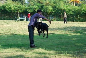 Pet Show 2010, Vuda Park, Vizag