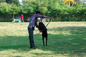 Pet Show 2010, Vuda Park, Vizag