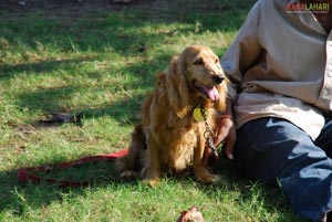 Pet Show 2010, Vuda Park, Vizag