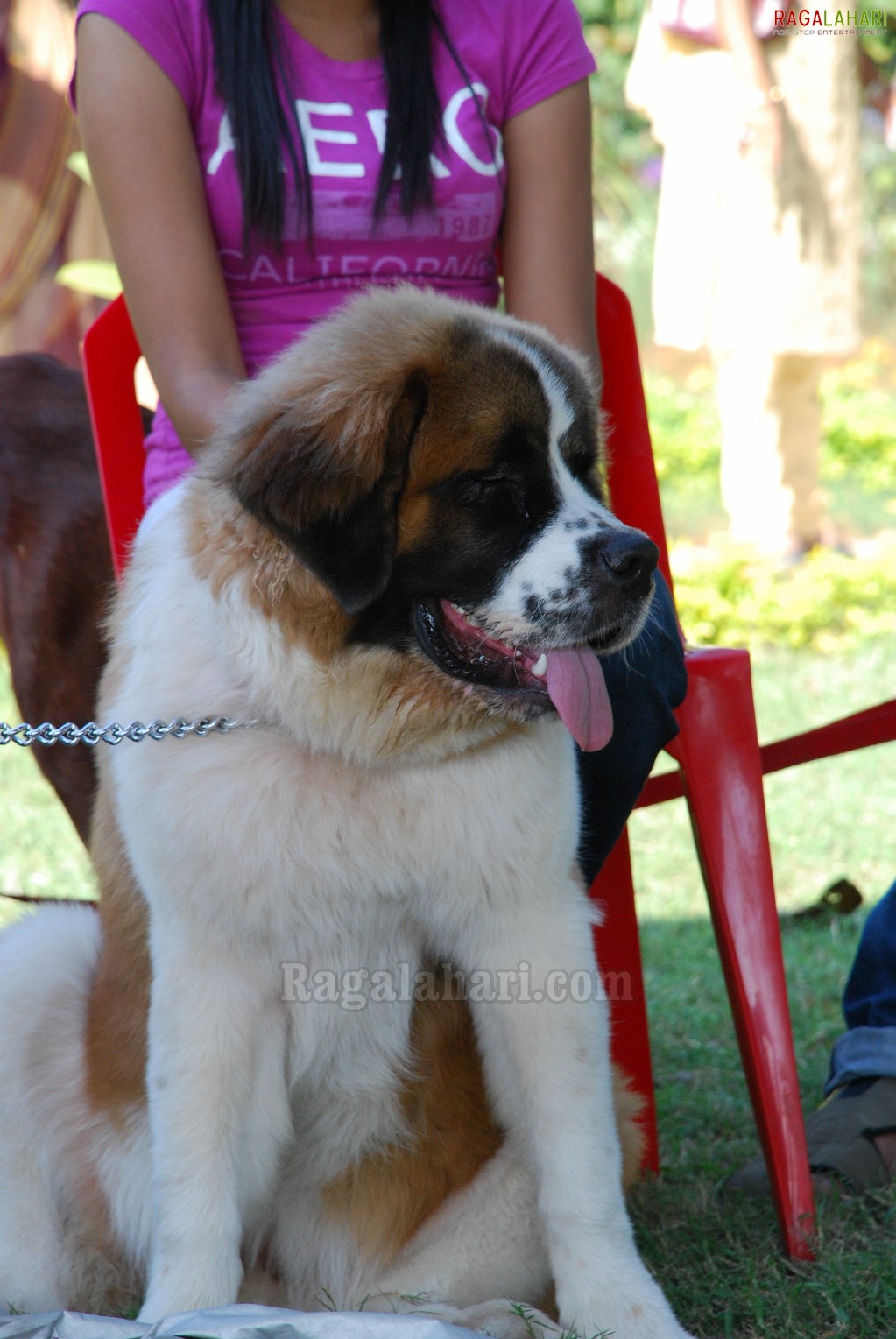 Pet Show 2010, Vuda Park, Visakhapatnam