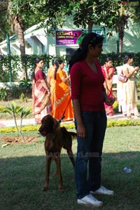 Pet Show 2010, Vuda Park, Vizag