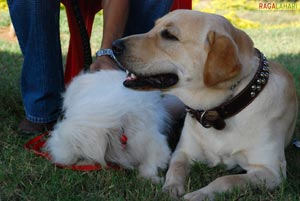 Pet Show 2010, Vuda Park, Vizag