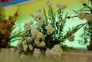 Vuda Flower Show 2010, Visakhapatnam