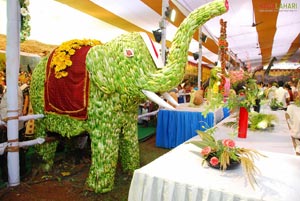 Vuda Flower Show 2010, Visakhapatnam