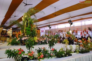 Vuda Flower Show 2010, Visakhapatnam