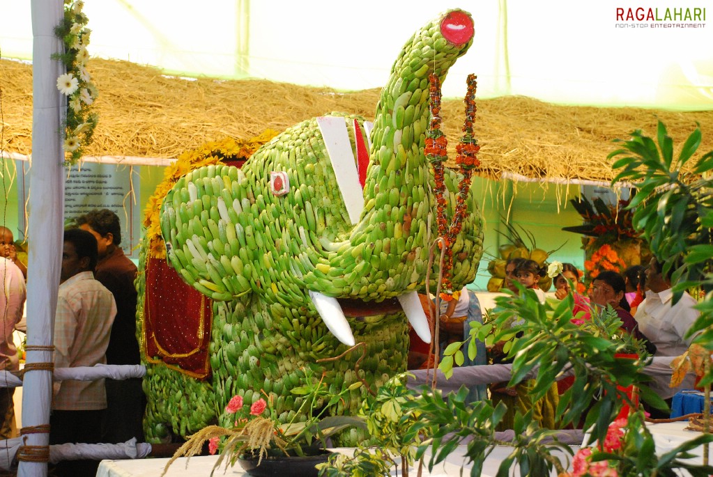 Vuda Flower Show 2010, Visakhapatnam