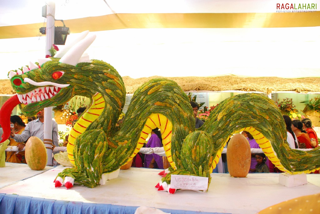 Vuda Flower Show 2010, Visakhapatnam