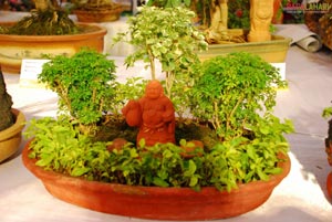 Vuda Flower Show 2010, Visakhapatnam