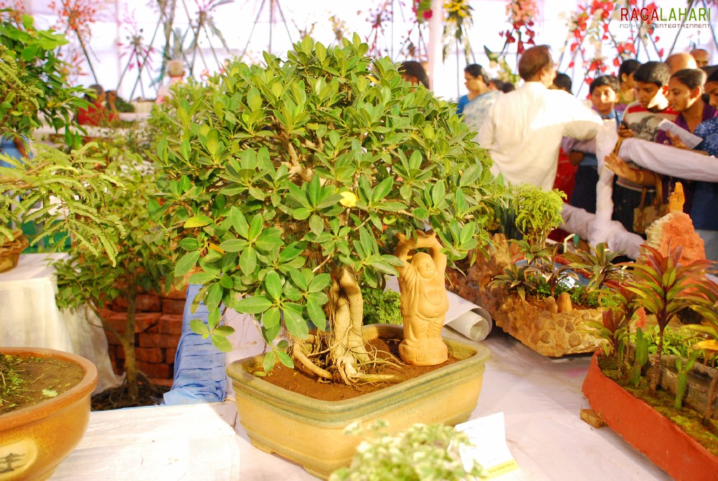 Vuda Flower Show 2010, Visakhapatnam