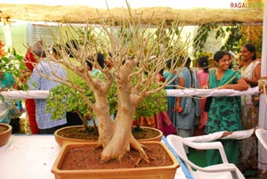 Vuda Flower Show 2010, Visakhapatnam