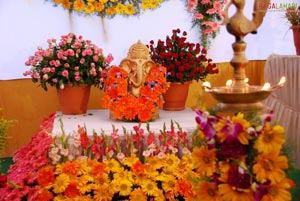 Vuda Flower Show 2010, Visakhapatnam