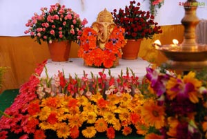 Vuda Flower Show 2010, Visakhapatnam