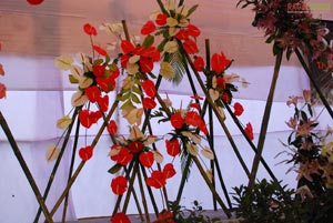 Vuda Flower Show 2010, Visakhapatnam