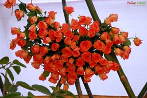 Vuda Flower Show 2010, Visakhapatnam