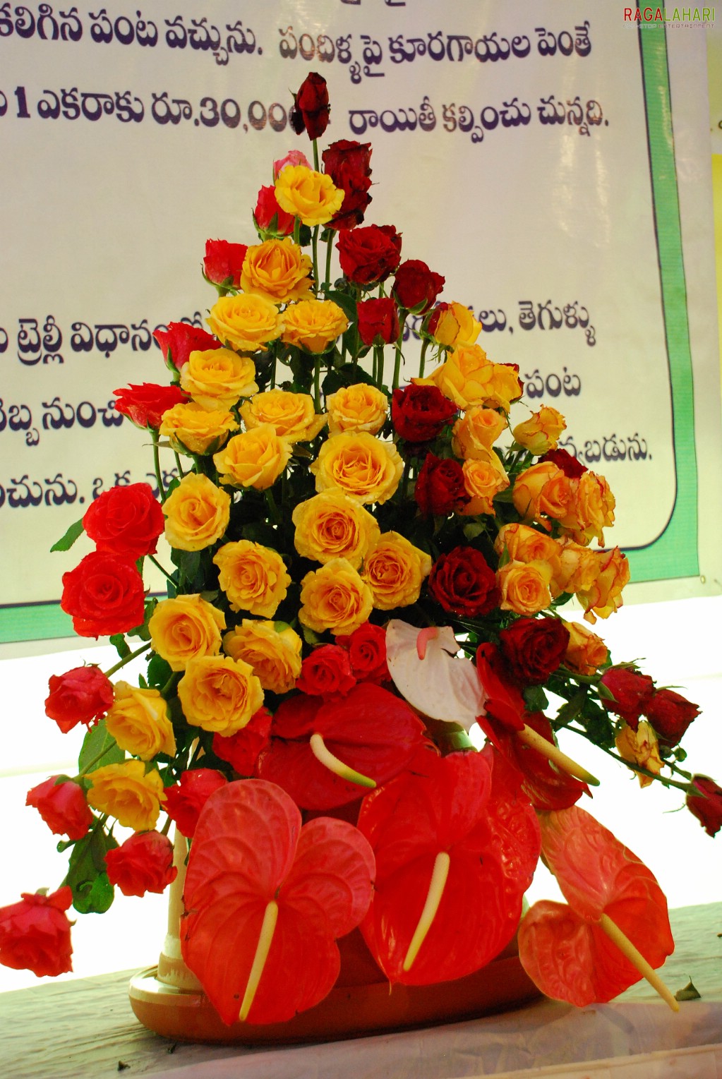 Vuda Flower Show 2010, Visakhapatnam