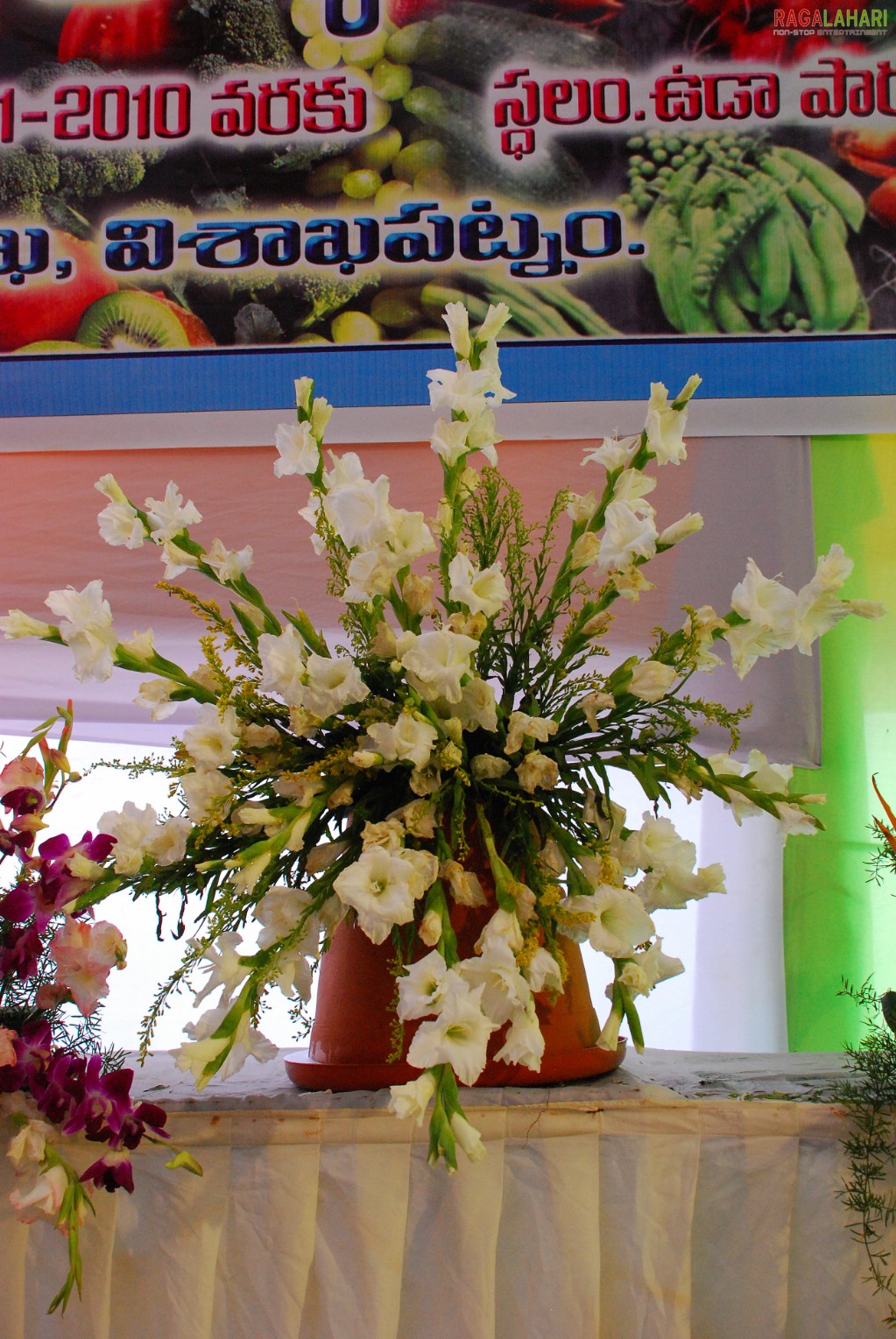 Vuda Flower Show 2010, Visakhapatnam