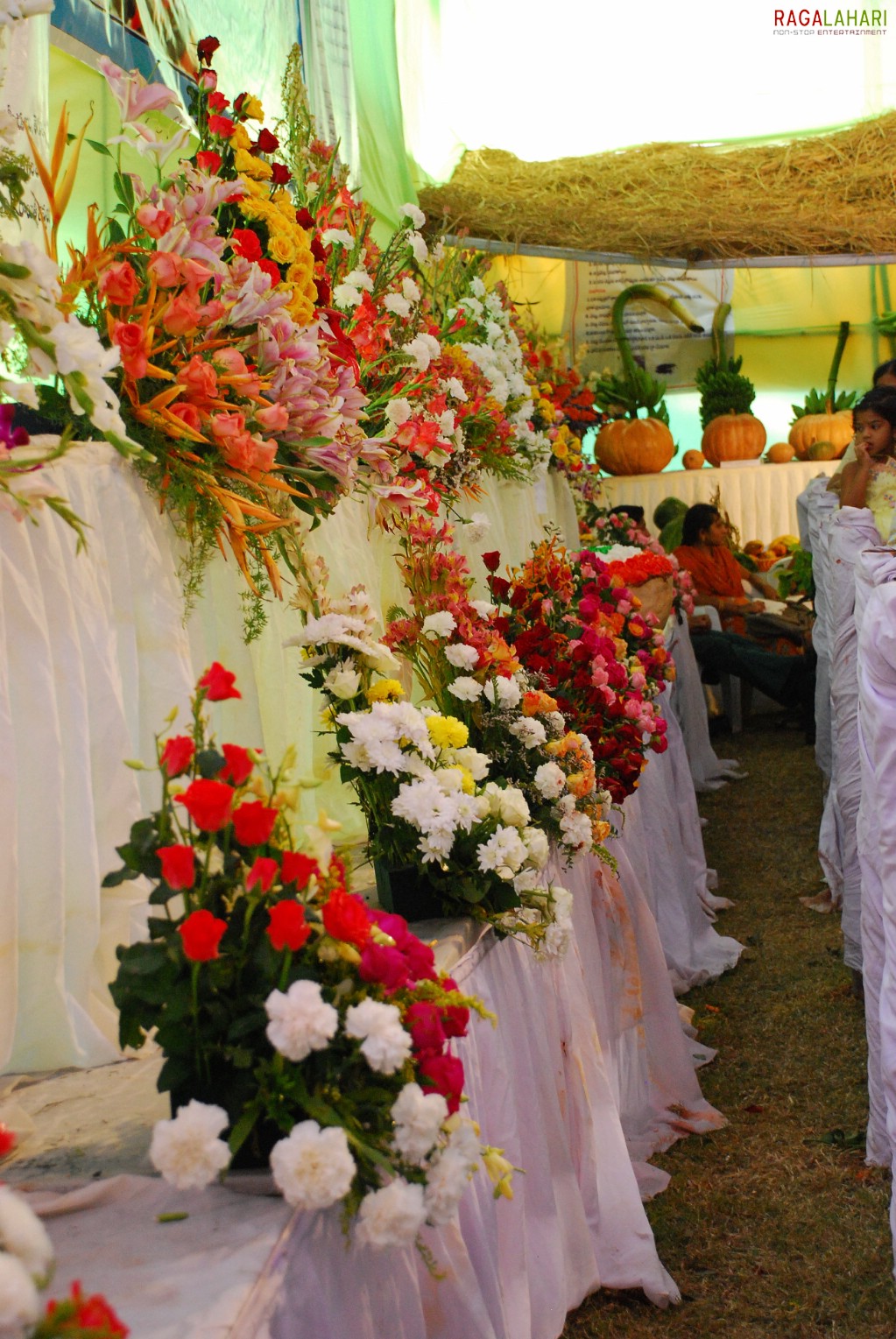 Vuda Flower Show 2010, Visakhapatnam