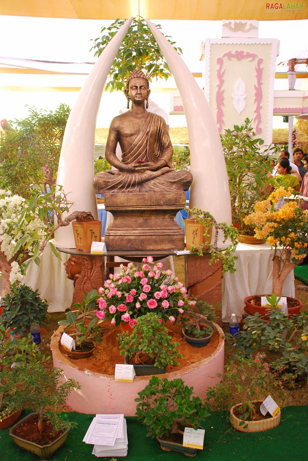 Vuda Flower Show 2010, Visakhapatnam