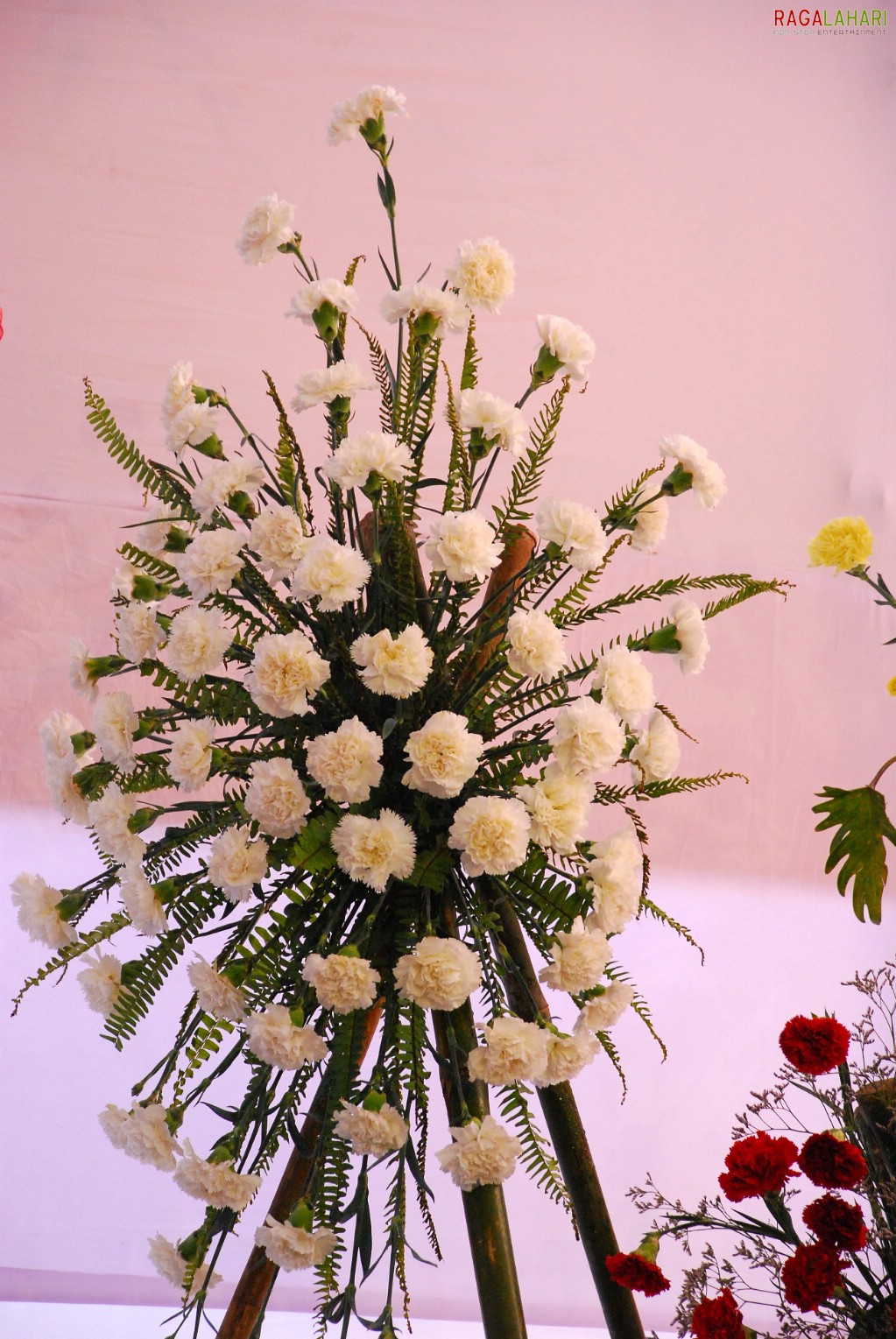 Vuda Flower Show 2010, Visakhapatnam