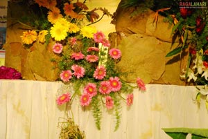 Vuda Flower Show 2010, Visakhapatnam