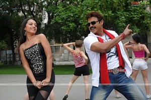 Venkatesh, Trisha