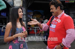 Venkatesh, Trisha