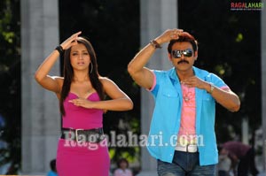 Venkatesh, Trisha