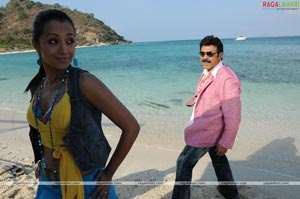 Venkatesh, Trisha