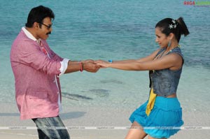 Venkatesh, Trisha