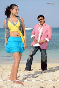 Venkatesh, Trisha