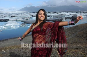 Trisha Photo Gallery from Namo Venkatesa