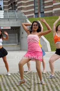 Trisha Photo Gallery from Namo Venkatesa