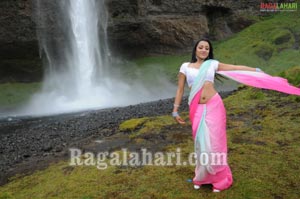 Trisha Photo Gallery