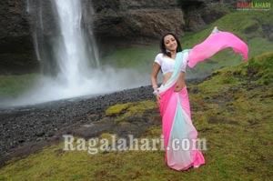 Trisha Photo Gallery