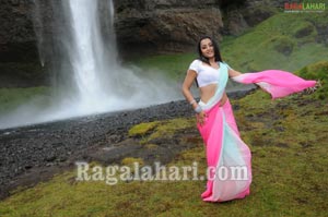 Trisha Photo Gallery