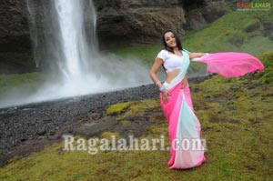 Trisha Photo Gallery