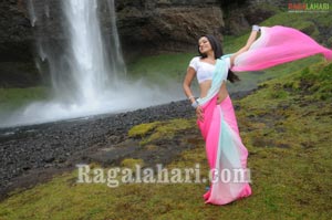 Trisha Photo Gallery