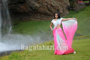 Trisha Photo Gallery