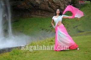 Trisha Photo Gallery