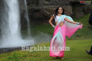 Trisha Photo Gallery