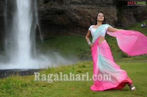 Trisha Photo Gallery