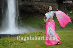 Trisha Photo Gallery