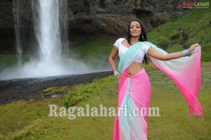 Trisha Photo Gallery