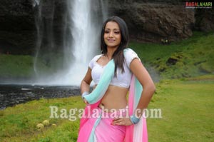 Trisha Photo Gallery