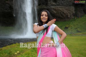 Trisha Photo Gallery