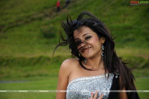 Trisha Photo Gallery