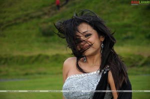 Trisha Photo Gallery