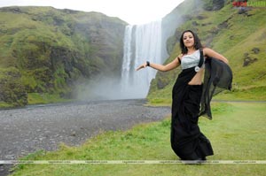 Trisha Photo Gallery