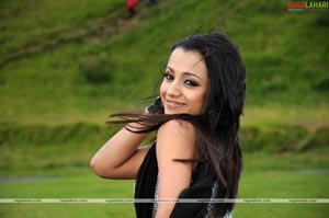 Trisha Photo Gallery