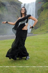 Trisha Photo Gallery